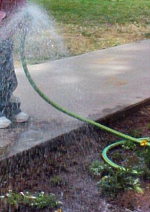 hose spray