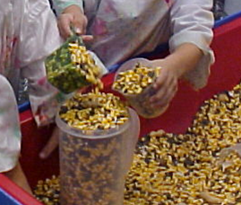 measuring corn