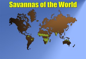 savanna-world-1b-sm